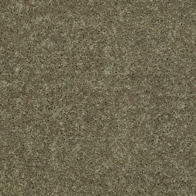 Shaw Floors SFA Drexel Hill II 12′ Aloe 00300_EA054