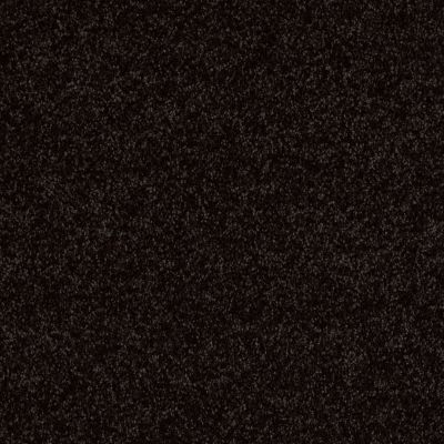 Shaw Floors SFA Drexel Hill II 12′ Armour 00502_EA054