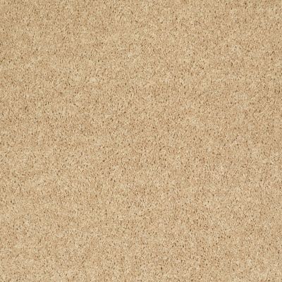 Shaw Floors SFA Drexel Hill III 12′ Crumpet 00203_EA055
