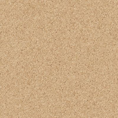 Shaw Floors SFA Drexel Hill III 12′ Sun Beam 00240_EA055