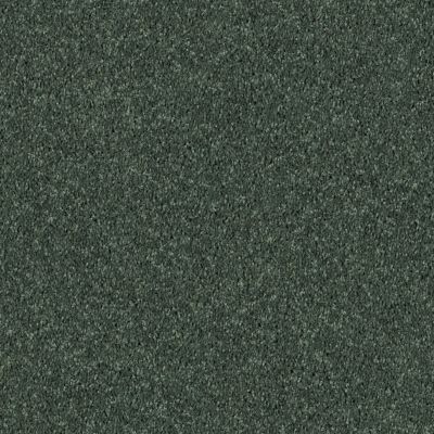 Shaw Floors SFA Drexel Hill III 12′ Going Green 00340_EA055
