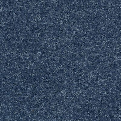 Shaw Floors SFA Drexel Hill III 12′ Castaway 00400_EA055