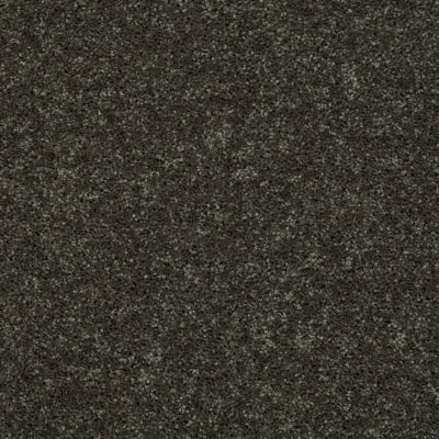 Shaw Floors SFA Drexel Hill III 15 Garden Grove 00301_EA056