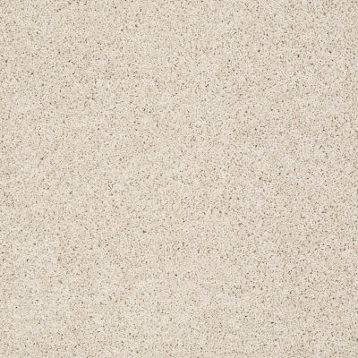 Shaw Floors Anso Colorwall Designer Twist Gold (s) Dunes 00123_EA090