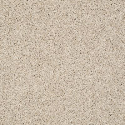 Shaw Floors Anso Colorwall Designer Twist Gold (s) Natural Wood 00701_EA090
