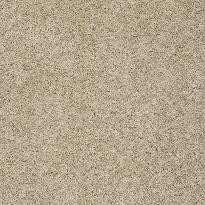 Shaw Floors Anso Colorwall Designer Twist Gold (s) Riverbank 00770_EA090