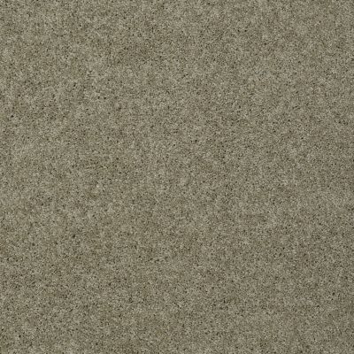Shaw Floors SFA Loyal Beauty II Smooth Slate 00704_EA163