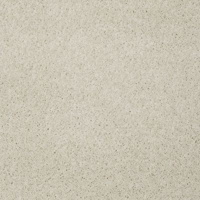 Shaw Floors SFA Loyal Beauty III China Pearl 00100_EA164