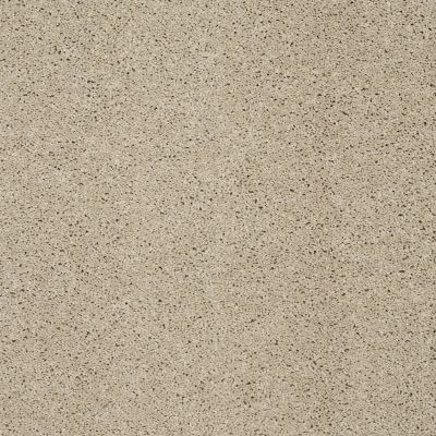Shaw Floors SFA Loyal Beauty III Stucco 00129_EA164