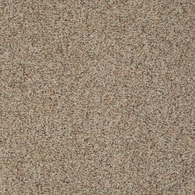 Shaw Floors SFA Fundamentals (a) Ancient Marble 00138_EA498