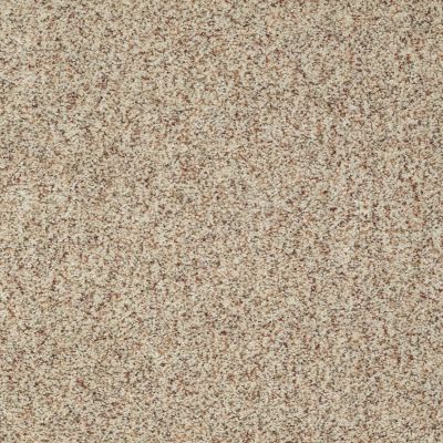Shaw Floors SFA Fundamentals (a) Sands Of Time 00139_EA498