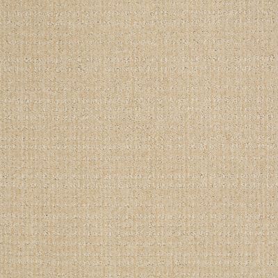 Shaw Floors SFA Step Up Winter White 00100_EA504