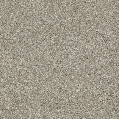 Shaw Floors SFA Inspiring Gray Flannel 00511_EA508
