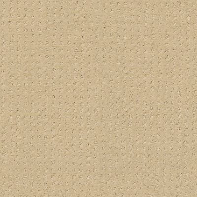 Shaw Floors SFA My Inspiration Pattern French Linen 00103_EA562