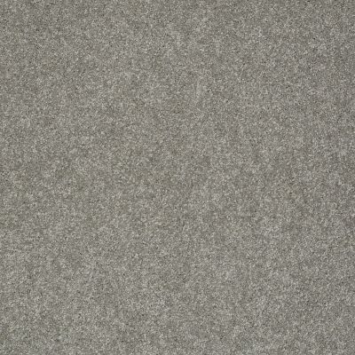 Shaw Floors Anso Colorwall Gold Texture London 00535_EA571