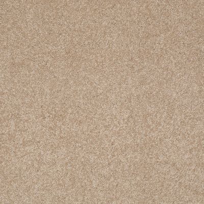 Shaw Floors Anso Colorwall Gold Texture Townhouse Taupe 00700_EA571