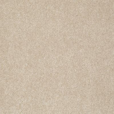 Shaw Floors Anso Colorwall Gold Texture Natural Wood 00701_EA571