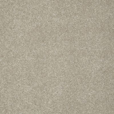 Shaw Floors Anso Colorwall Gold Texture Warm Oatmeal 00722_EA571