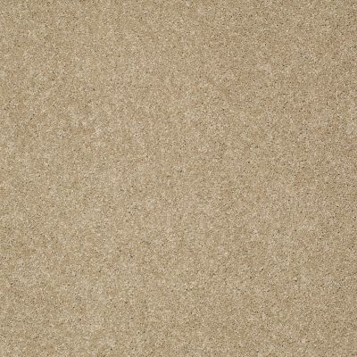 Shaw Floors Anso Colorwall Gold Texture Beach House 00771_EA571