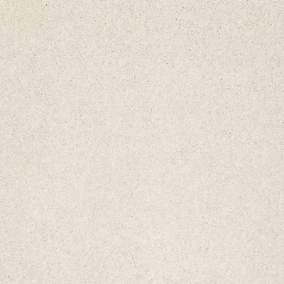 Shaw Floors Anso Colorwall Platinum Texture 12′ Cool Breeze 00106_EA572