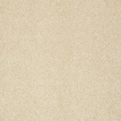Shaw Floors Anso Colorwall Platinum Texture 12′ Chenille Soft 00110_EA572