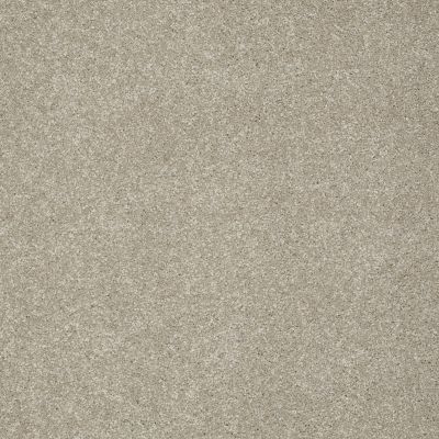 Shaw Floors Anso Colorwall Platinum Texture 12′ Warm Oatmeal 00722_EA572