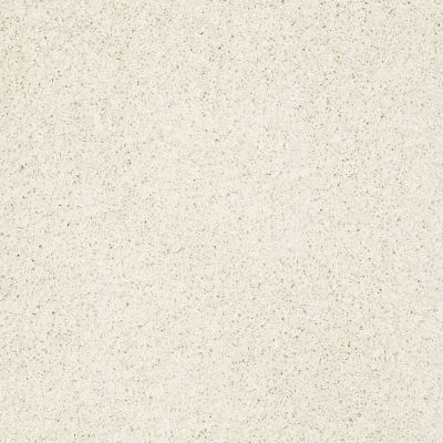 Shaw Floors Anso Colorwall Gold Twist Fine China 00104_EA575