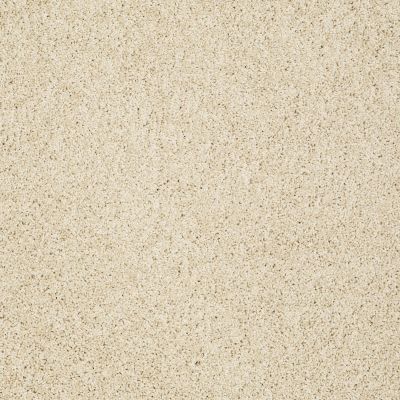 Shaw Floors Anso Colorwall Gold Twist Chenille Soft 00110_EA575