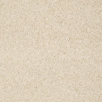Shaw Floors Anso Colorwall Gold Twist Parchment 00111_EA575