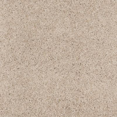 Shaw Floors Anso Colorwall Platinum Twist Candlewick 00124_EA576