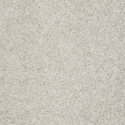 Shaw Floors Anso Colorwall Platinum Twist Waikiki Sand 00131_EA576
