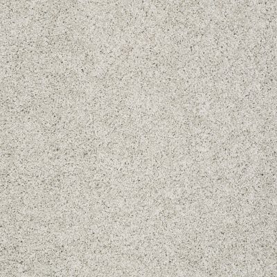 Shaw Floors Anso Colorwall Platinum Twist Waikiki Sand 00131_EA576