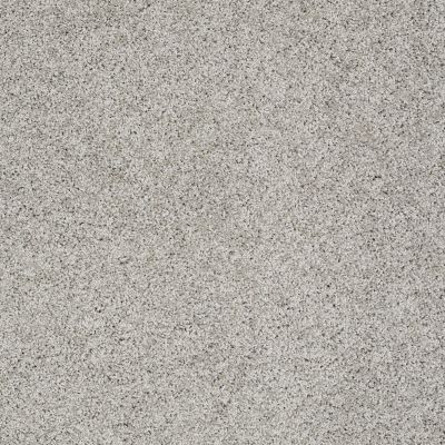 Shaw Floors Anso Colorwall Platinum Twist When In Rome 00536_EA576