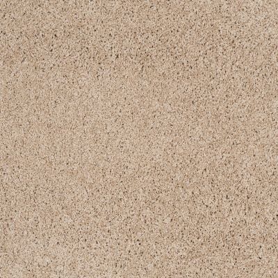 Shaw Floors Anso Colorwall Platinum Twist Natural Wood 00701_EA576