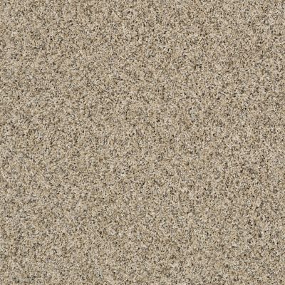 Shaw Floors Simply The Best Nature Essence Colonial Cream 00102_EA692