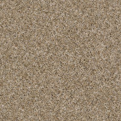 Shaw Floors Simply The Best Nature Essence Cork 00201_EA692