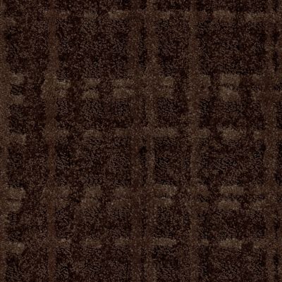 Shaw Floors Foundations Fierce & Bold Rich Chocolate 00704_EA703