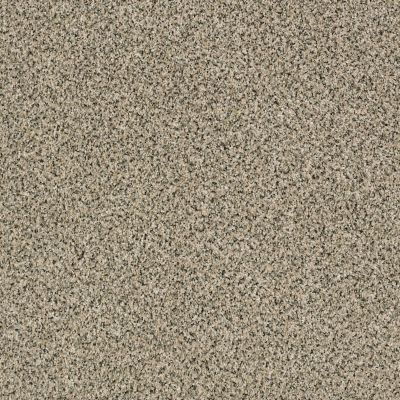 Carpet Holland Oh Carpets By Otto