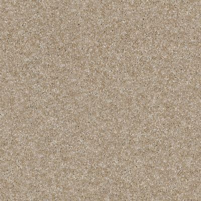 Shaw Floors Simply The Best Virtual Gloss Blonde 00111_EA718