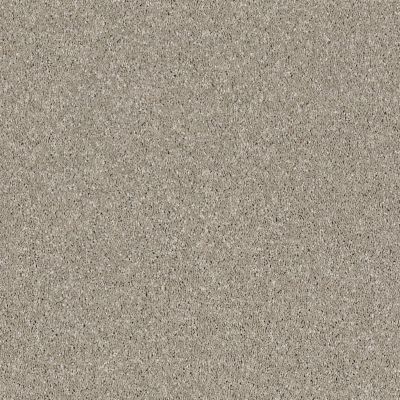 Shaw Floors Simply The Best Virtual Gloss Morning Dew 00116_EA718
