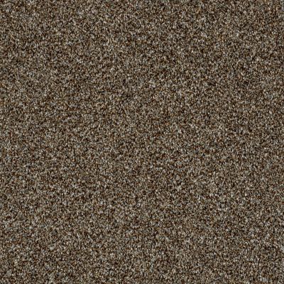 Shaw Floors Value Collections Breathe & Reflect Net Chateau 00701_EA720