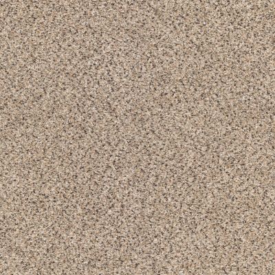 Shaw Floors Anso Colorwall Gold Texture Accents Midtown 00182_EA759