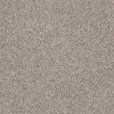 Shaw Floors Anso Colorwall Gold Texture Accents Quartz 00580_EA759