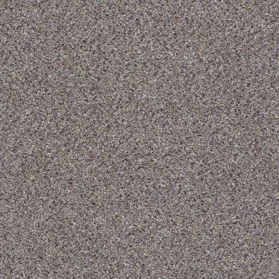 Shaw Floors Anso Colorwall Gold Texture Accents Graphite 00581_EA759