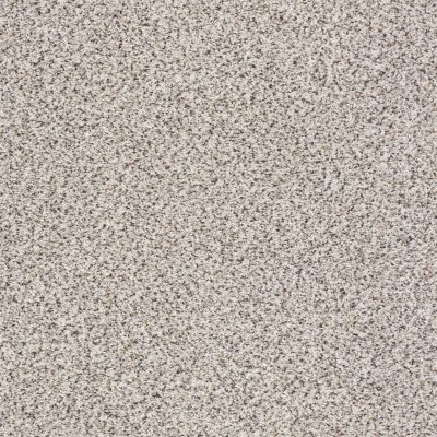 Shaw Floors Anso Colorwall Platinum Texture Accents Carrara 00180_EA760