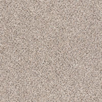 Shaw Floors Anso Colorwall Platinum Texture Accents BERBER CP Sculptor 00181_EA760