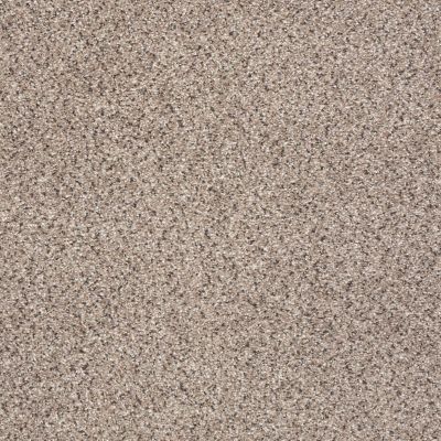 Shaw Floors Anso Colorwall Platinum Texture Accents Art District 00186_EA760