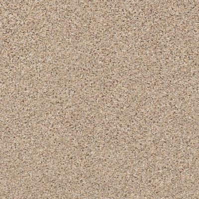 Shaw Floors SFA Strands Of Nature II Twine 00175_EA769