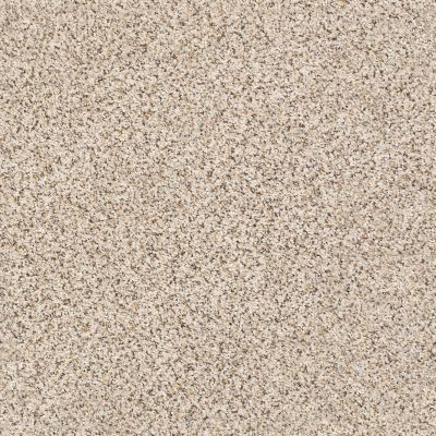 Shaw Floors SFA Strands Of Nature III Horizon 00172_EA770