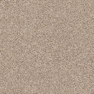 Shaw Floors SFA Strands Of Nature III Acreage 00176_EA770